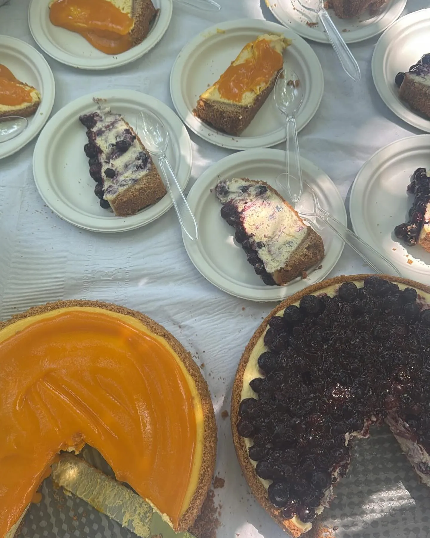 Slices of mango and blueberry cheesecake served on plates at an event.