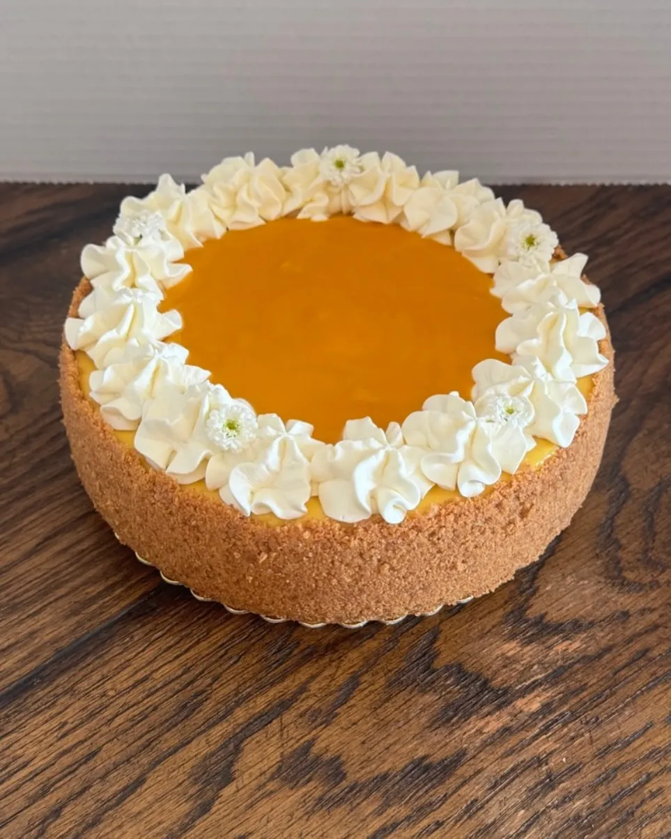 A mango cheesecake with a smooth mango glaze and a whipped-cream border.